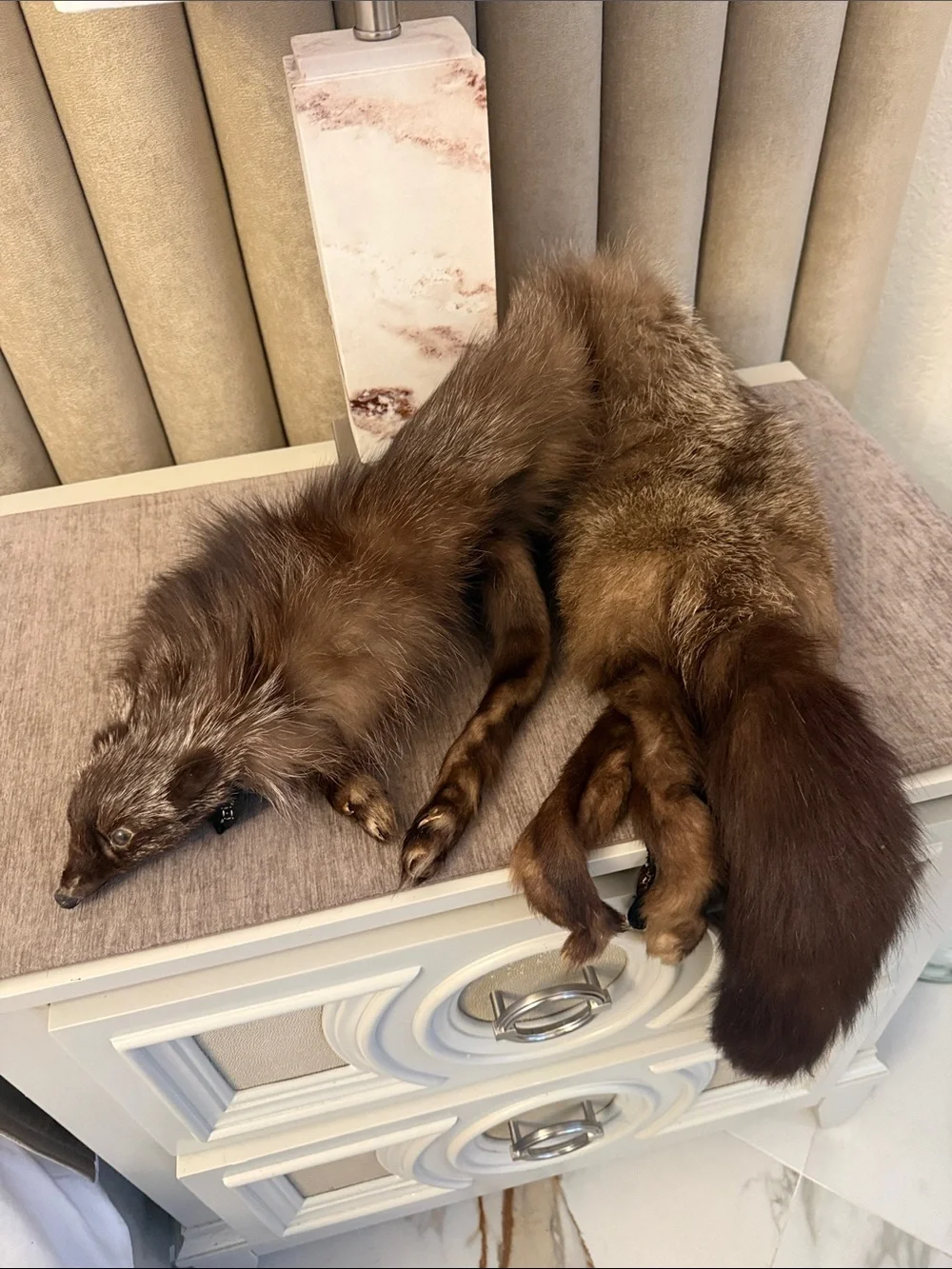 Vintage Fox for stole